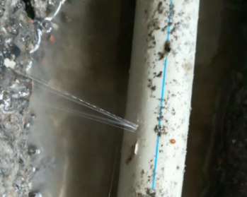 甘孜卫生间测漏水多少钱