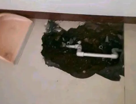 甘孜卫生间测漏水多少钱